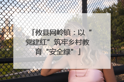 攸县网岭镇：以“党建红”筑牢乡村教育“安全绿”