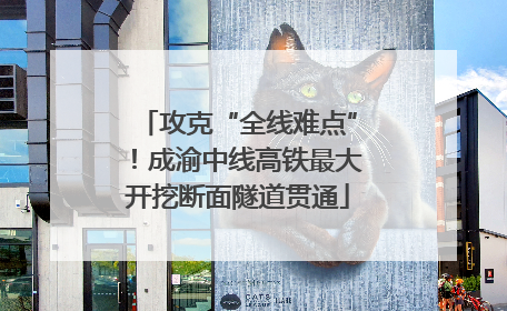 攻克“全线难点”！成渝中线高铁最大开挖断面隧道贯通