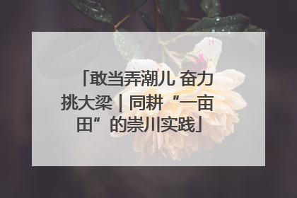 敢当弄潮儿 奋力挑大梁｜同耕“一亩田”的崇川实践