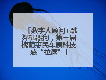 数字人顾问+跳舞机器狗，第三届槐荫惠民车展科技感“拉满”