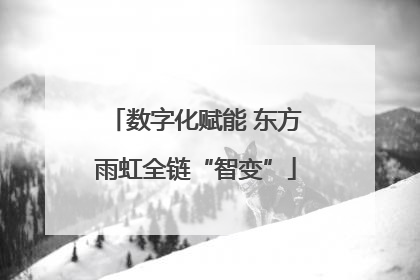 数字化赋能 东方雨虹全链“智变”