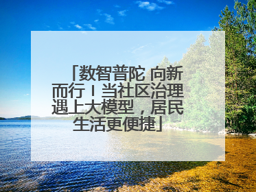 数智普陀 向新而行〡当社区治理遇上大模型，居民生活更便捷