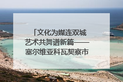 文化为媒连双城 艺术共舞谱新篇——塞尔维亚科瓦契察市代表团访问日照