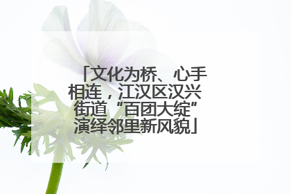 文化为桥、心手相连，江汉区汉兴街道“百团大绽”演绎邻里新风貌