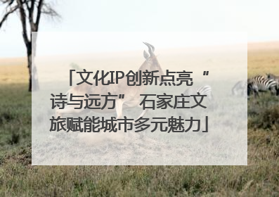 文化IP创新点亮“诗与远方” 石家庄文旅赋能城市多元魅力