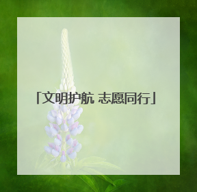 文明护航 志愿同行