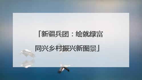 新疆兵团：绘就绿富同兴乡村振兴新图景