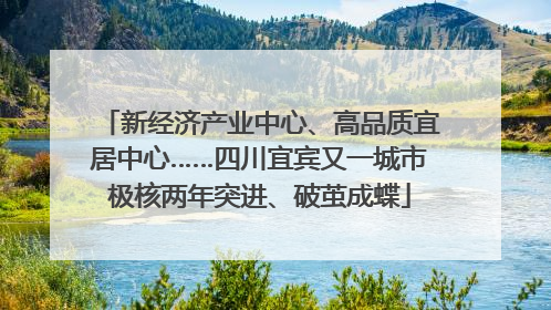 新经济产业中心、高品质宜居中心……四川宜宾又一城市极核两年突进、破茧成蝶