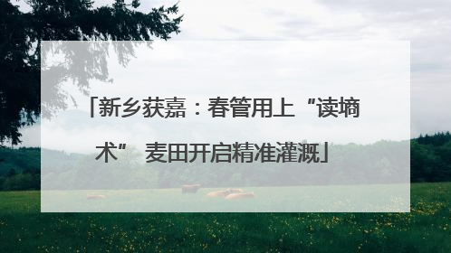 新乡获嘉：春管用上“读墒术” 麦田开启精准灌溉