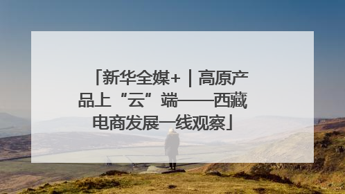 新华全媒+｜高原产品上“云”端——西藏电商发展一线观察