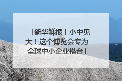 新华鲜报丨小中见大！这个博览会专为全球中小企业搭台