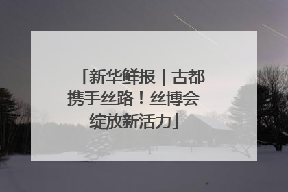 新华鲜报｜古都携手丝路！丝博会绽放新活力