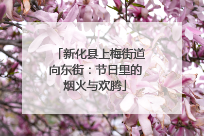 新化县上梅街道向东街：节日里的烟火与欢腾