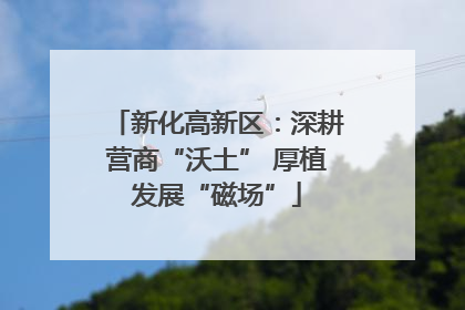 新化高新区：深耕营商“沃土” 厚植发展“磁场”