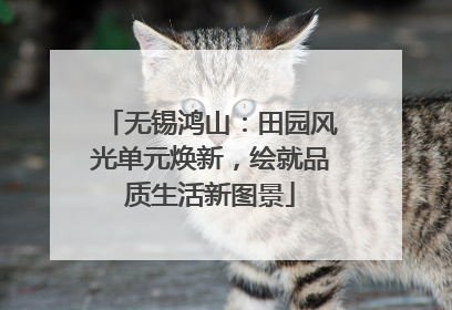 无锡鸿山：田园风光单元焕新，绘就品质生活新图景