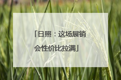 日照：这场展销会性价比拉满