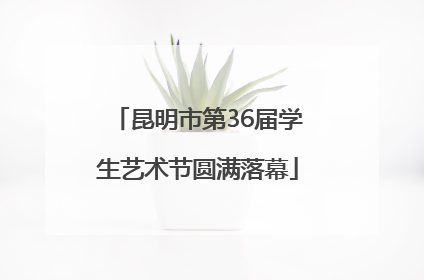 昆明市第36届学生艺术节圆满落幕