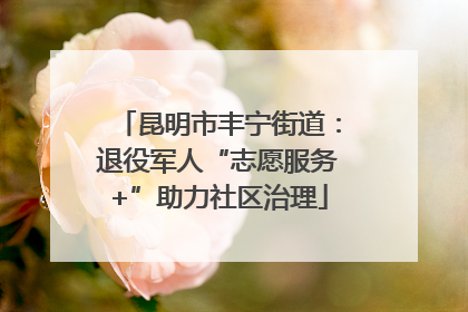 昆明市丰宁街道：退役军人“志愿服务+”助力社区治理