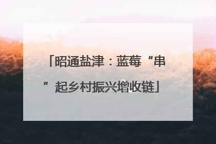 昭通盐津：蓝莓“串”起乡村振兴增收链