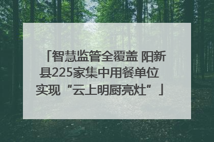 智慧监管全覆盖 阳新县225家集中用餐单位实现“云上明厨亮灶”