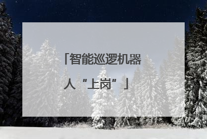 智能巡逻机器人“上岗”