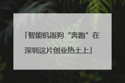 智能机器狗“奔跑”在深圳这片创业热土上