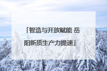 智造与开放赋能 岳阳新质生产力提速