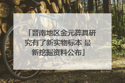 晋南地区金元葬具研究有了新实物标本 最新挖掘资料公布
