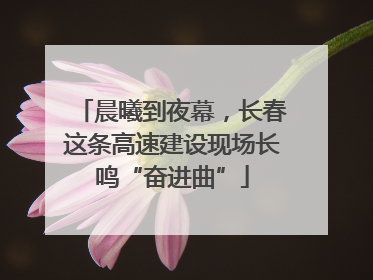 晨曦到夜幕，长春这条高速建设现场长鸣“奋进曲”