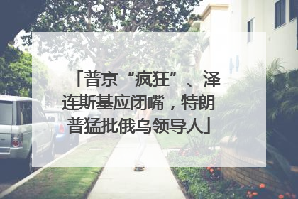 普京“疯狂”、泽连斯基应闭嘴，特朗普猛批俄乌领导人