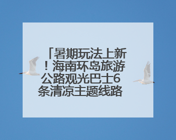 暑期玩法上新！海南环岛旅游公路观光巴士6条清凉主题线路上线