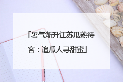 暑气渐升江苏瓜熟待客：追瓜人寻甜蜜