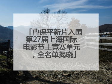 曹保平新片入围第27届上海国际电影节主竞赛单元，全名单揭晓