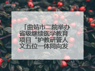 曲靖市二院举办省级继续医学教育项目“护教研管人文五位一体同向发力，助力提升护理效能学习班”