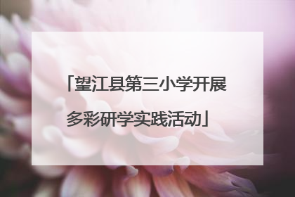 望江县第三小学开展多彩研学实践活动