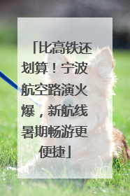 比高铁还划算！宁波航空路演火爆，新航线暑期畅游更便捷