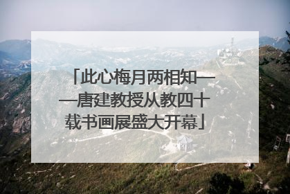此心梅月两相知——唐建教授从教四十载书画展盛大开幕