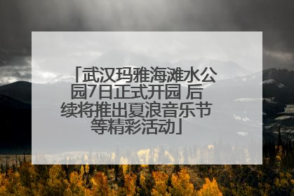 武汉玛雅海滩水公园7日正式开园 后续将推出夏浪音乐节等精彩活动