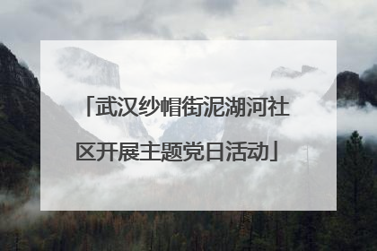 武汉纱帽街泥湖河社区开展主题党日活动