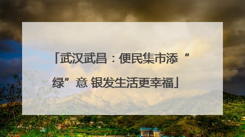 武汉武昌：便民集市添“绿”意 银发生活更幸福