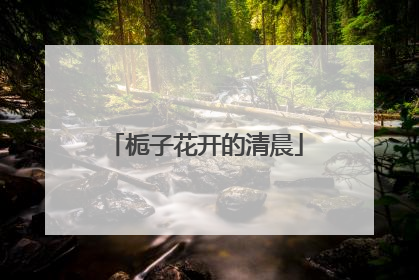 栀子花开的清晨