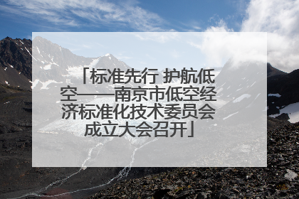 标准先行 护航低空——南京市低空经济标准化技术委员会成立大会召开