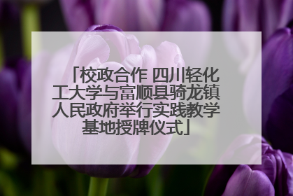 校政合作 四川轻化工大学与富顺县骑龙镇人民政府举行实践教学基地授牌仪式