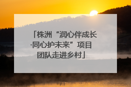 株洲“润心伴成长·同心护未来”项目团队走进乡村