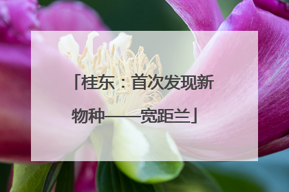 桂东：首次发现新物种——宽距兰