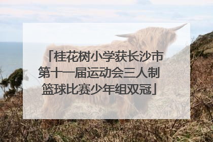 桂花树小学获长沙市第十一届运动会三人制篮球比赛少年组双冠
