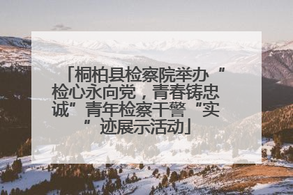 桐柏县检察院举办“检心永向党，青春铸忠诚”青年检察干警“实”迹展示活动