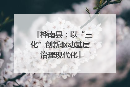 桦南县：以“三化”创新驱动基层治理现代化