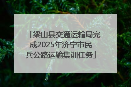梁山县交通运输局完成2025年济宁市民兵公路运输集训任务
