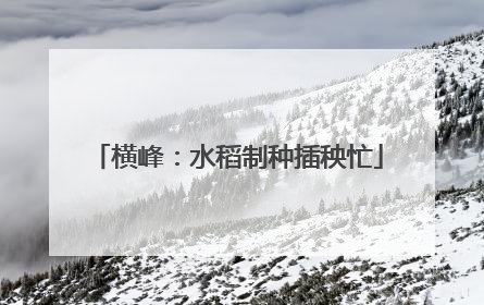 横峰：水稻制种插秧忙